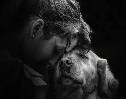 Эвтаназия на дому